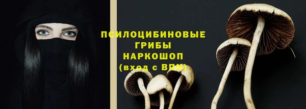кокаин премиум Белокуриха