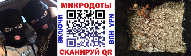 Псилоцибиновые грибы прущие грибы  Горняк 