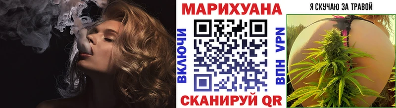 Каннабис планчик  Горняк 
